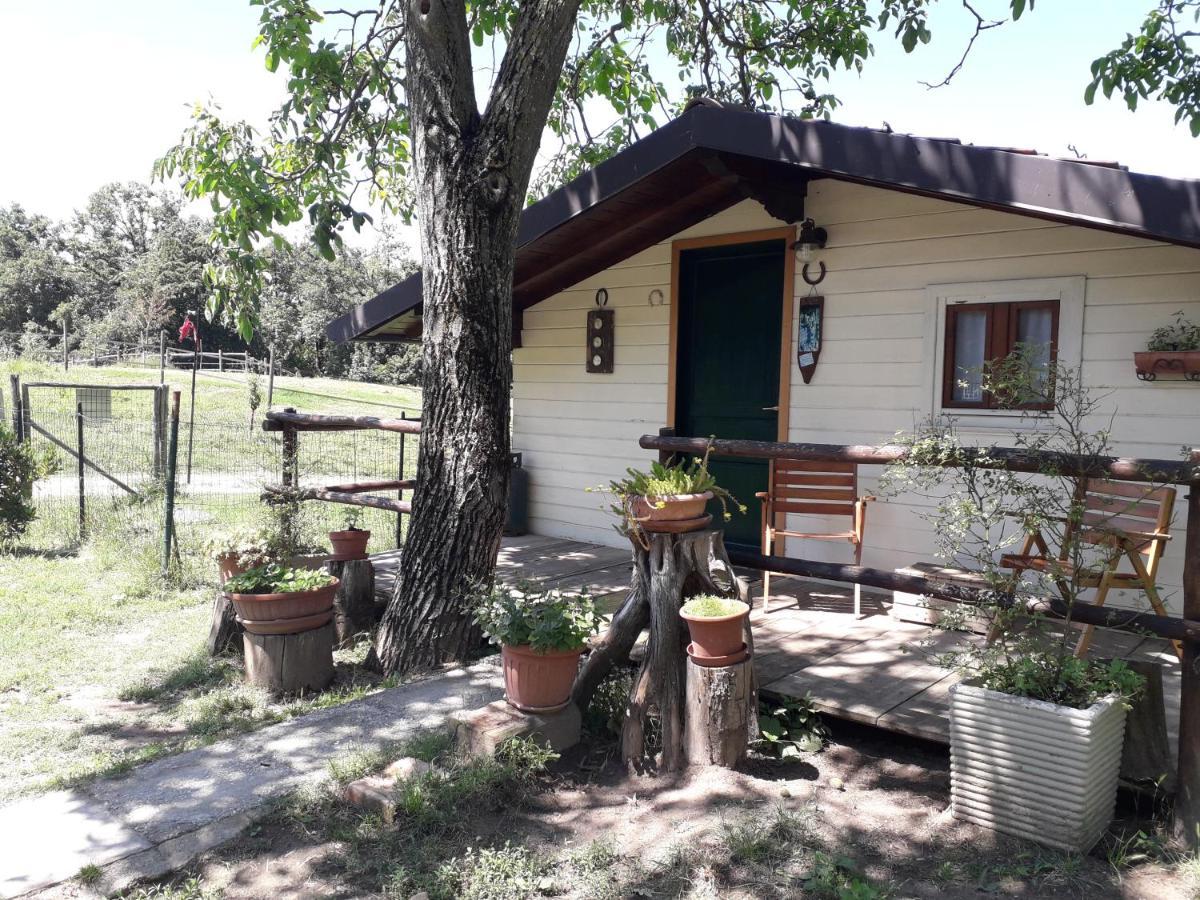 Il Casalino Bed & Breakfast Пианоро Екстериор снимка